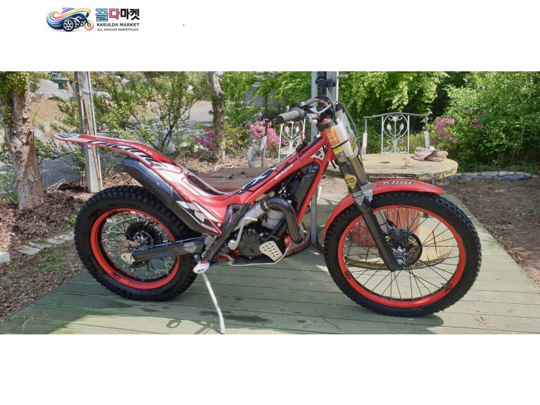 GASGAS 2T 250