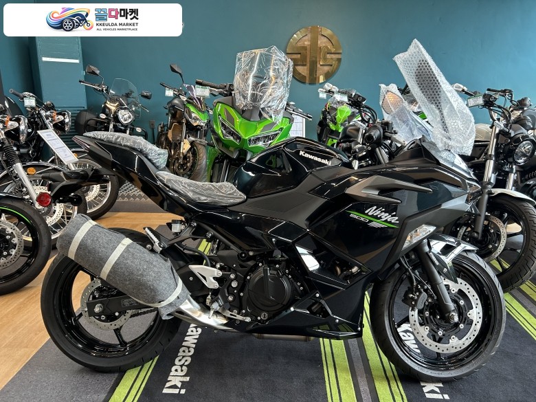 가와사키 닌자 500 R
