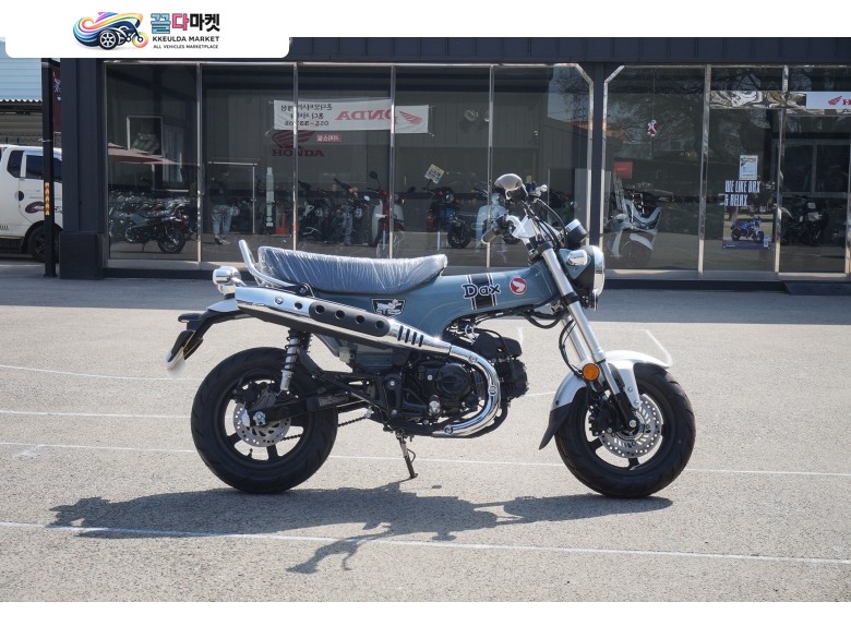 [신차]HONDA 혼다 닥스125 (ST125) 25년 새롭게 출시한 혼다125CC 오토바이
