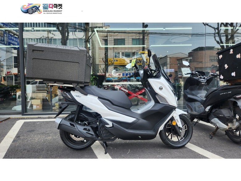 VOGE 보그 SR125GT 신차 2025년식 화이트 색상 즉시 출고