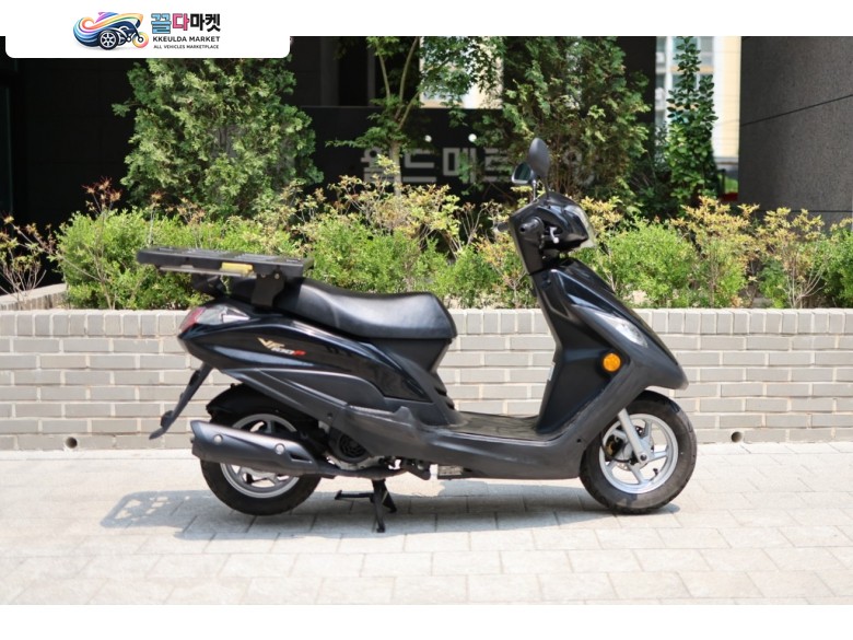 DNA모터스/대림 VF 100 P