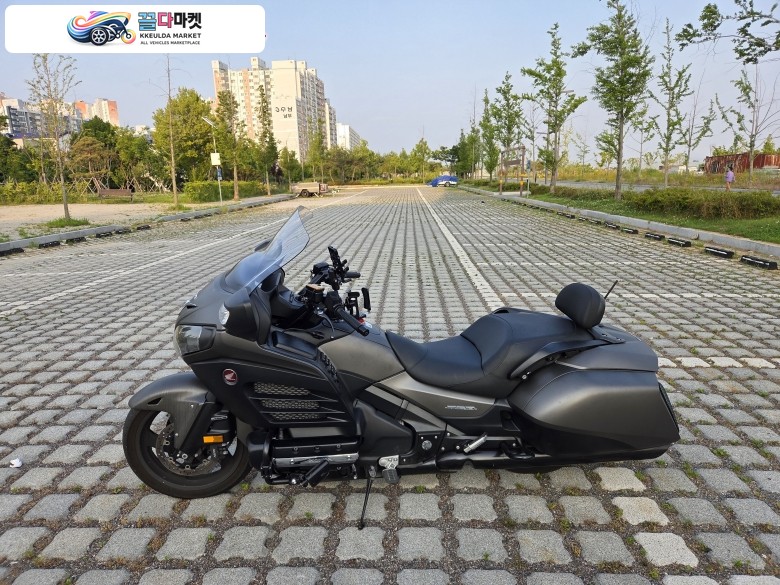 골드윙 f6b