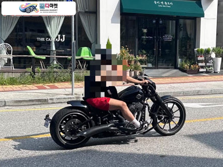 할리데이비슨 브레이크아웃