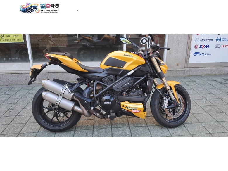 도로위의 말벌