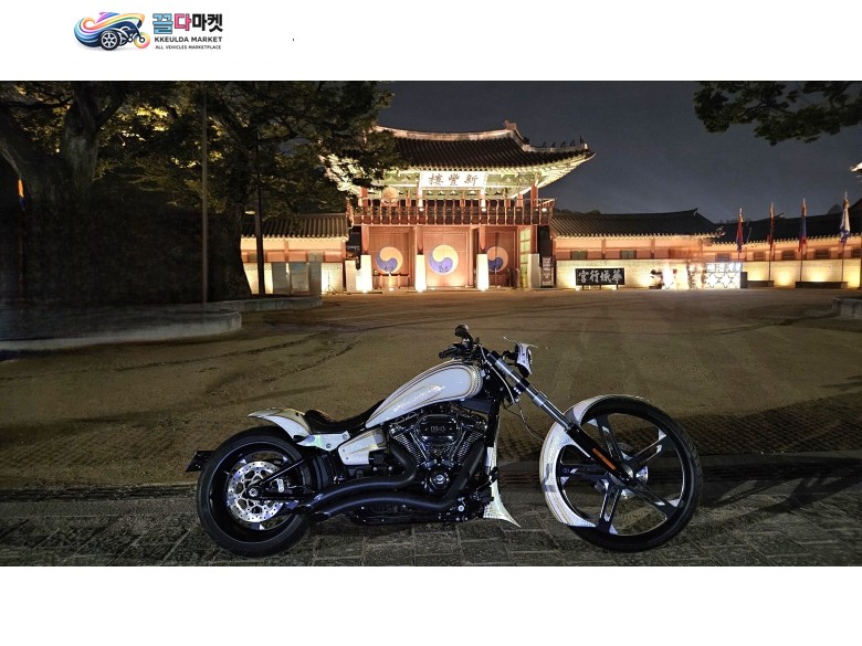 풀커스텀 도색 26인치 브레이크아웃 114