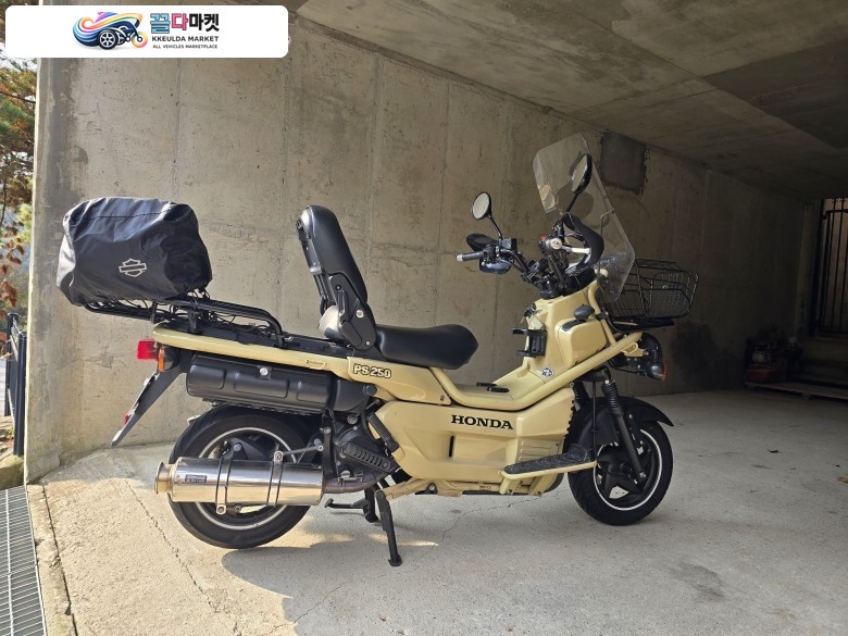 혼다 ps250