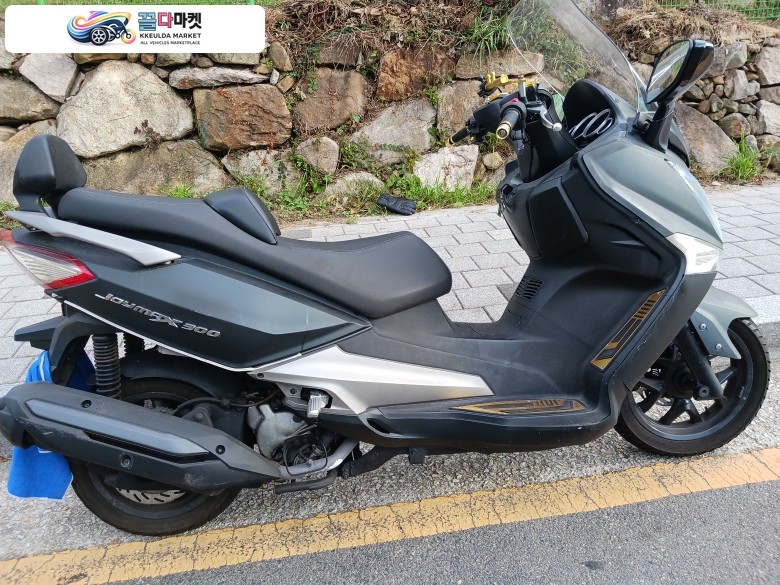 조이매스300i