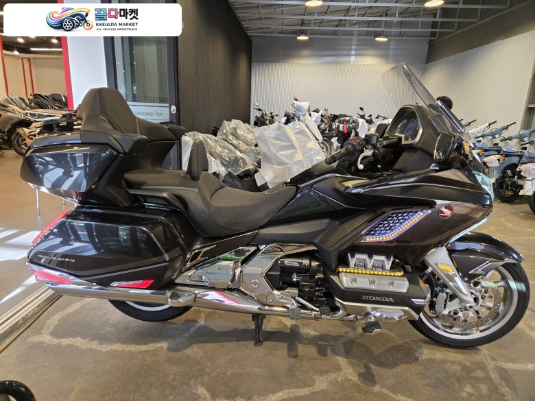 골드윙.dct1800