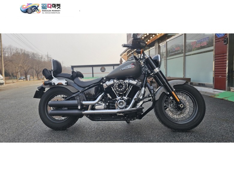 2018년 소프테일슬림