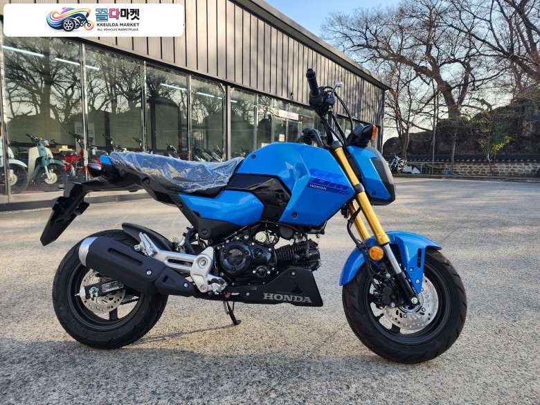 [신차]HONDA 혼다 MSX125 GROM 블루 유니크한 디자인 탄탄한 기본기