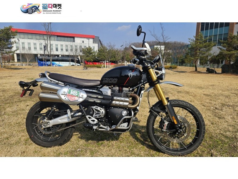 트라이엄프 스크램블러xe 풀옵션 신차급판매합니다