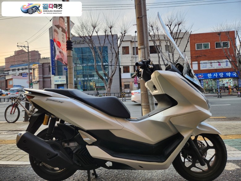 혼다 pcx 2026년식