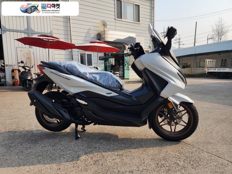[신차]HONDA 혼다 2026 포르자 350(FORZA) 쿼터급 스쿠터의 끝판왕!