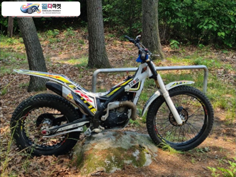 trs트라이얼300cc