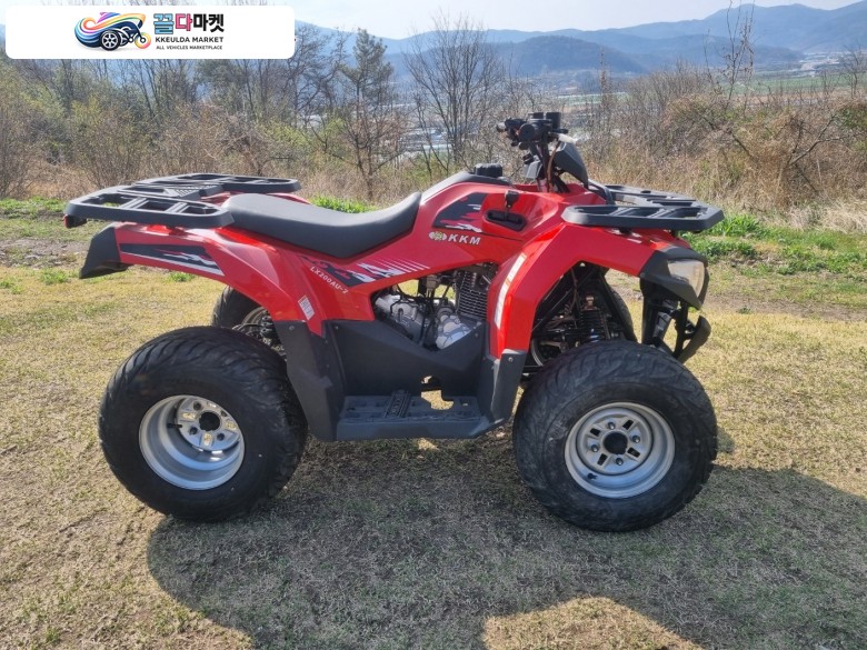 등판힘 넘치는 사륜오토바이 200cc 판매합니다