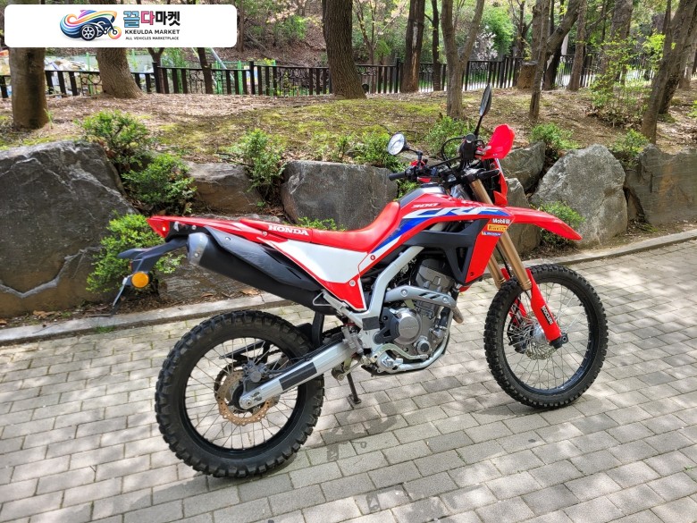 CRF300L