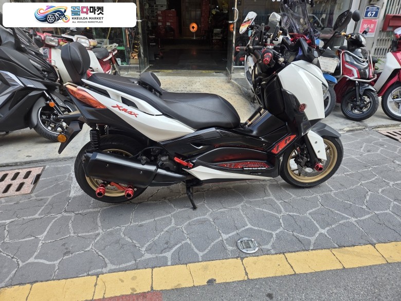 엑스멕스 300