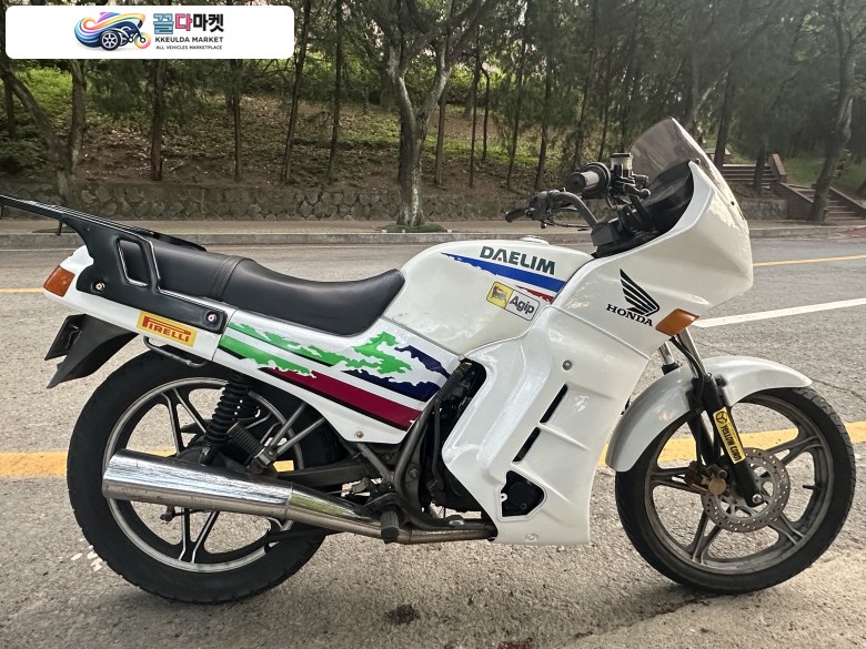 VF125 백마