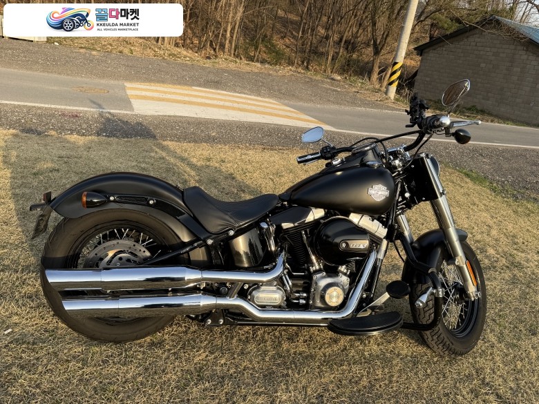 17년식 softail 20000km 폐지