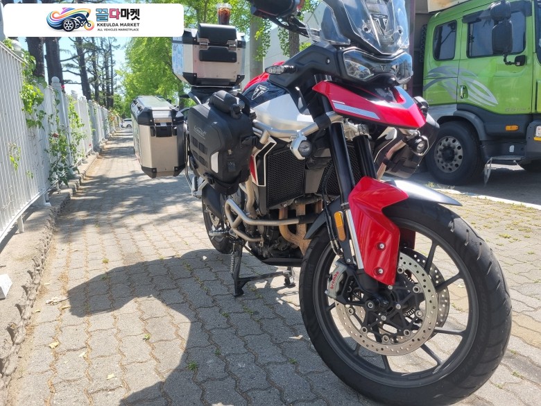 24년8월 등록 타이거900GT pro 아라곤에디션