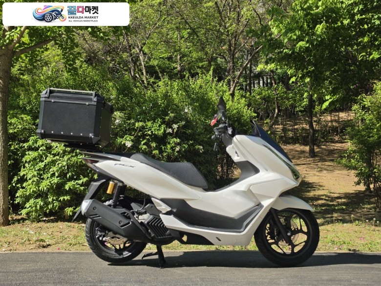 25년식 혼다 PCX125 ABS 화이트 99% S+신차급 옵션다수 600KM 판매해요