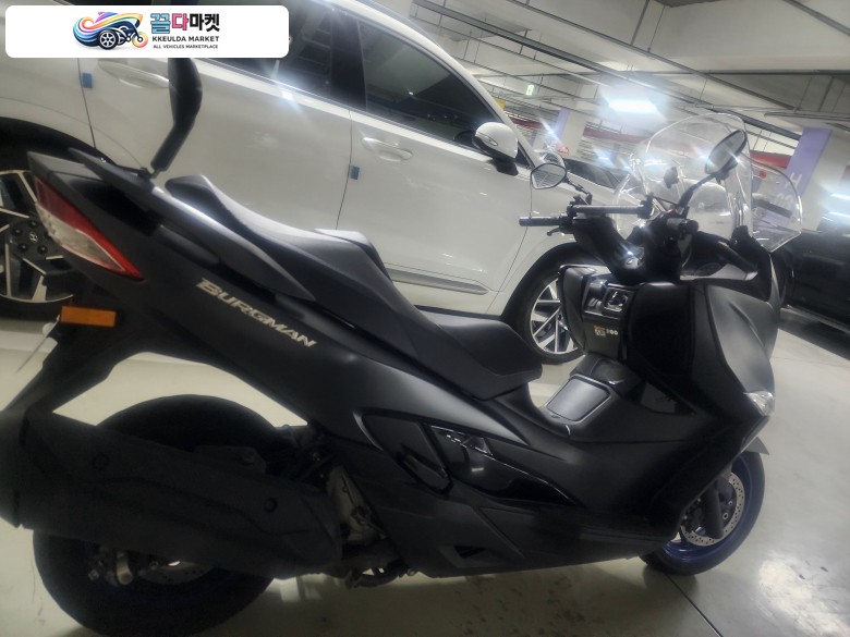 버그만400