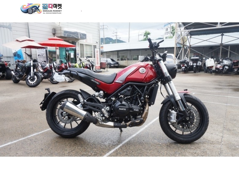 [신차] 베넬리/레온치노500 2021년 프로모션 진행중