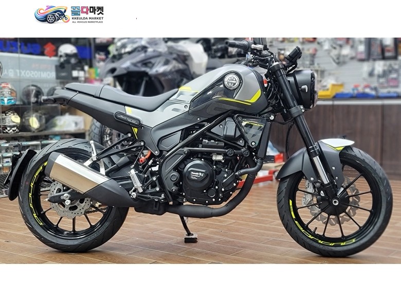 레온치노250 할인판매