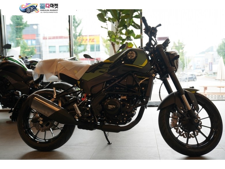 2022 레온치노 250 특급 할인 그린 판매