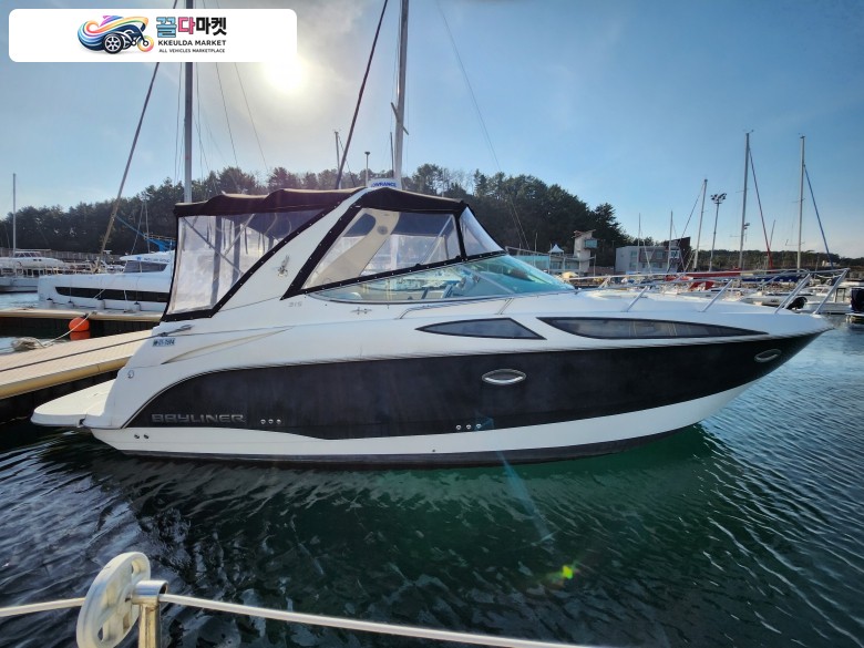 [가비마린]BAYLINER 315
