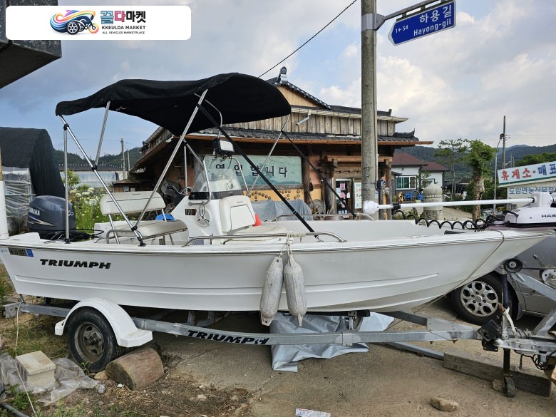 트라이엄프170 cc