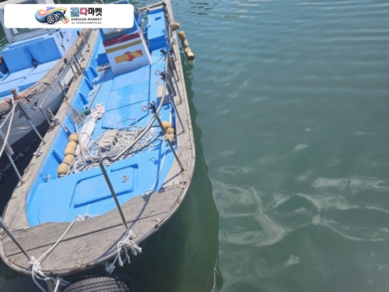모트 보트