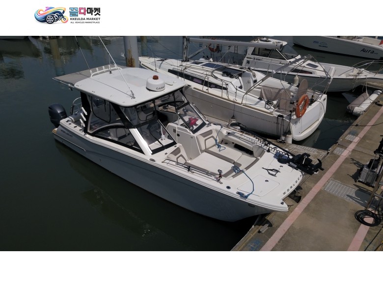 World Cat 280 DC-X. 월드켓 280 DC-X