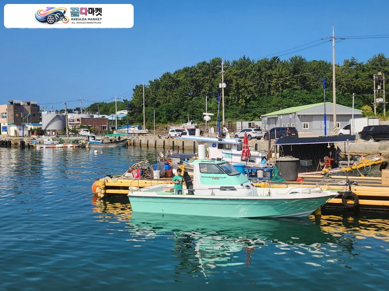 uf25 선내기 정리합니다