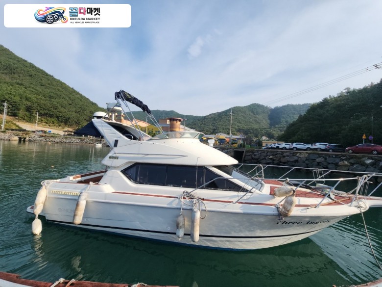 크루즈급 하우스타입 31ft 미국산 베이라이너