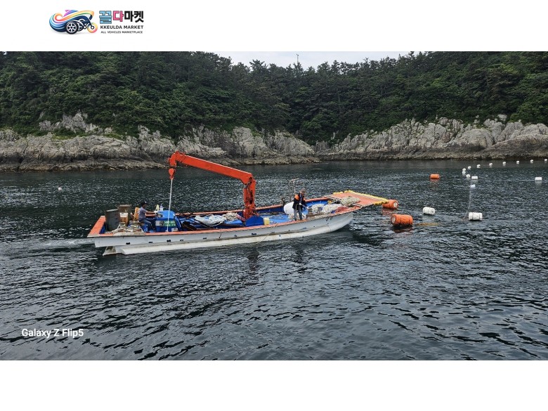 어장관리선 저렴하게 팝니다 (허가별도구매가능)