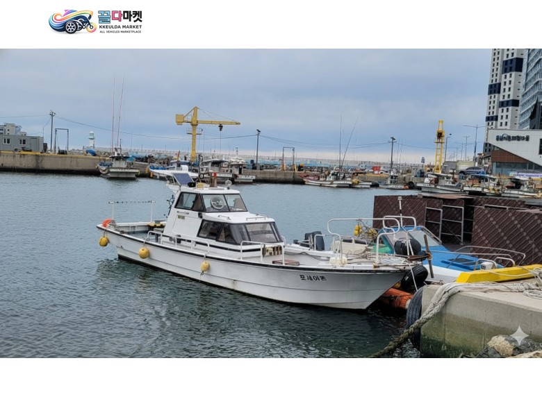 얀마(YANMAR) 33피트 하우스형 낚시·레저보트 (관리 최상/급매)