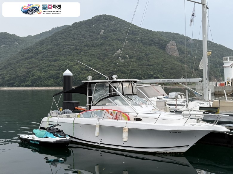  PROLINE 30WA