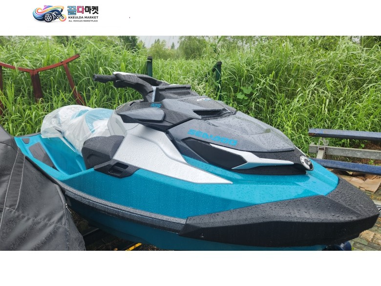 씨두 2025 GTX 리미티드